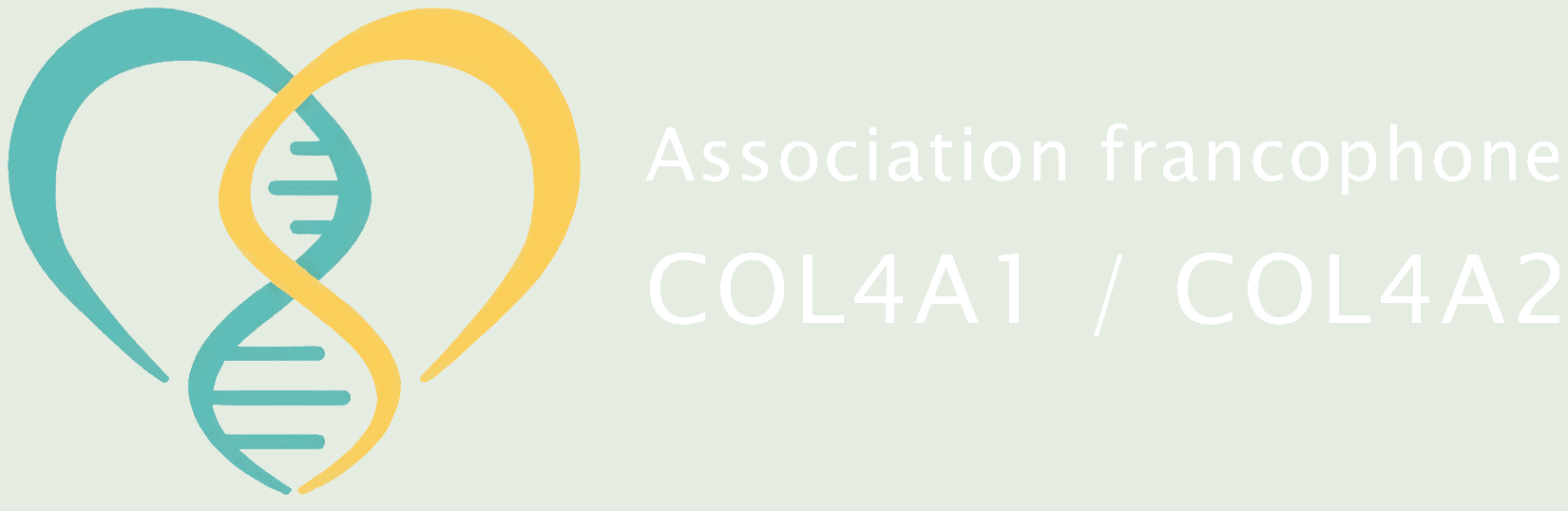 Logo Association Francophone Maladies Rares COL4A1/A2