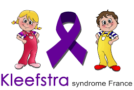 Logo Association  Kleefstra Syndrome France