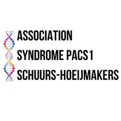 Logo Association Syndrome PACS1- Schuurs-Hoeijmakers